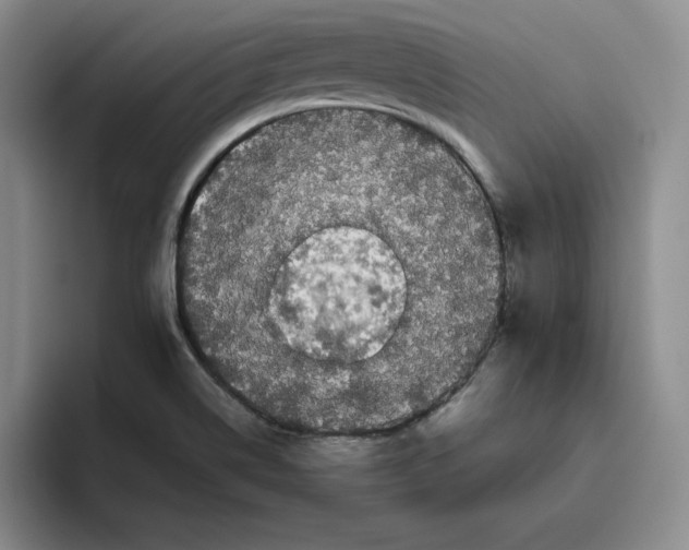 X0000096401514200802211152