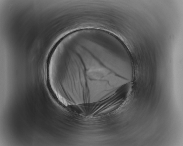 X0000096401515200802211152