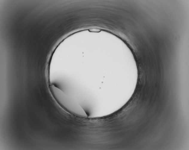 X0000096401516200802211152