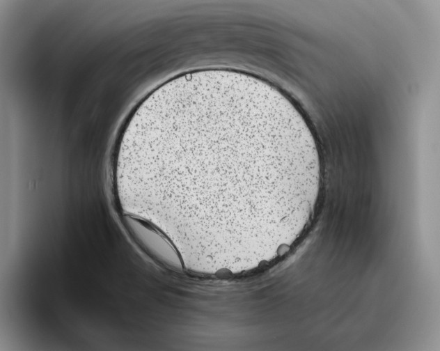 X0000096401517200802211152