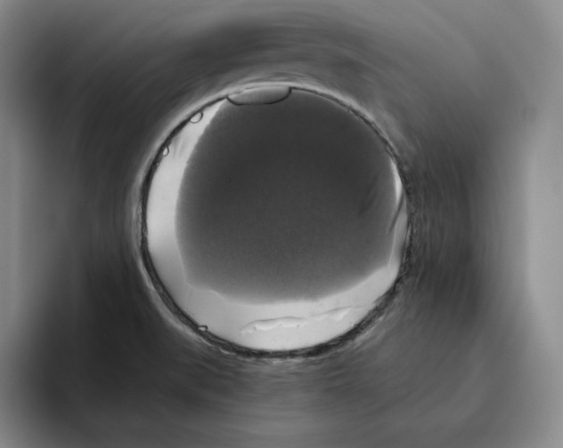 X0000096401519200802211152