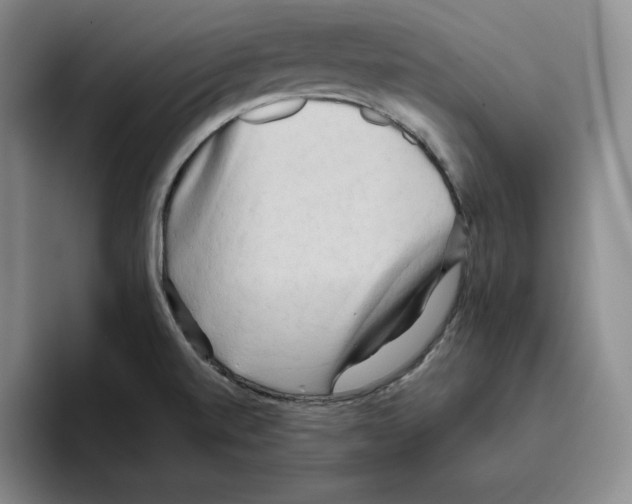 X0000096401520200802211152