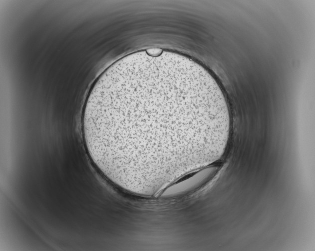 X0000096401521200802211152