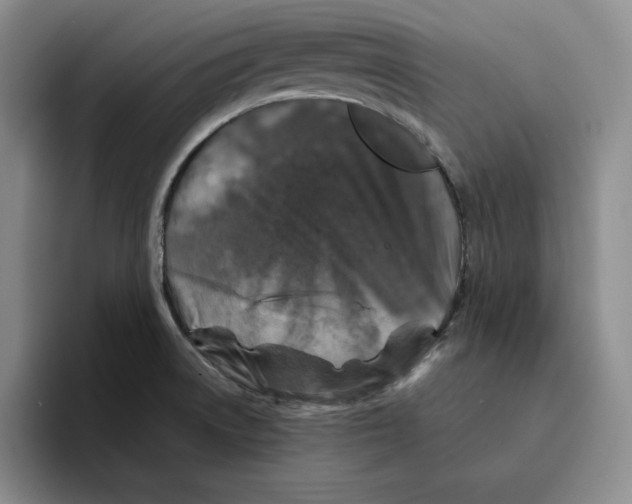 X0000096401522200802211152