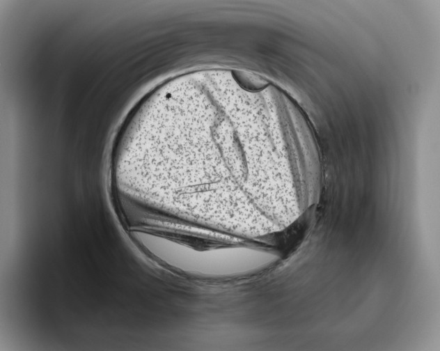 X0000096401523200802211152