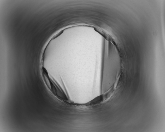 X0000096401524200802211152