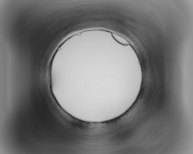 X0000096401526200802211152