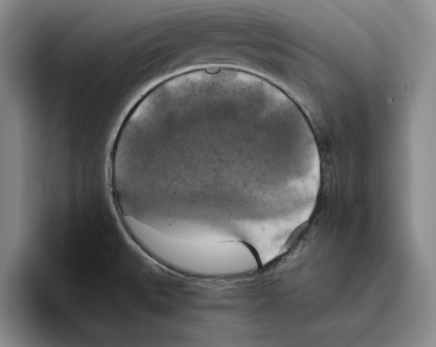 X0000096401527200802211152