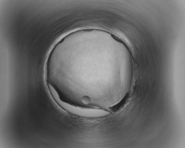 X0000096401528200802211152