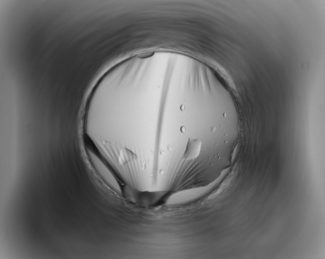 X0000096401530200802211152