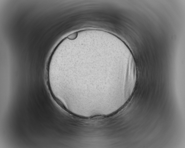 X0000096401531200802211152