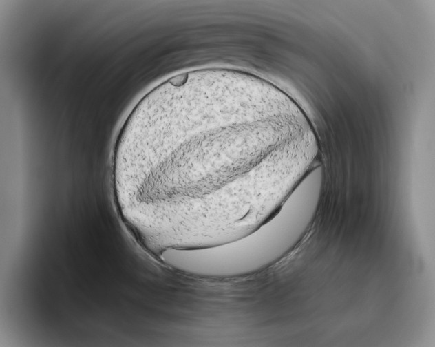 X0000096401532200802211152