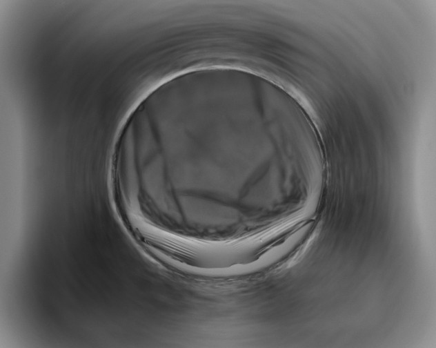 X0000096401533200802211152