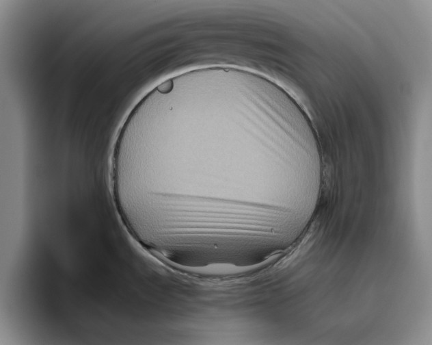 X0000096401535200802211152