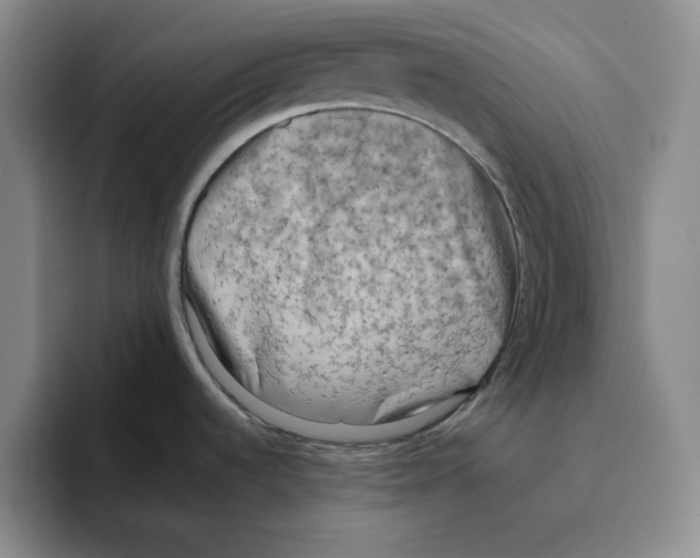 X0000096401536200802211153