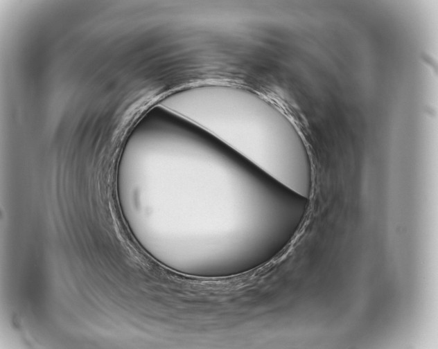 X0000096410001200801241035