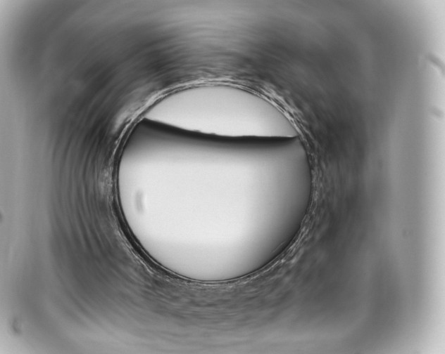 X0000096410002200801241035