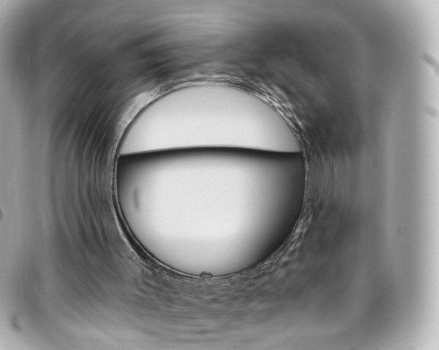X0000096410003200801241035