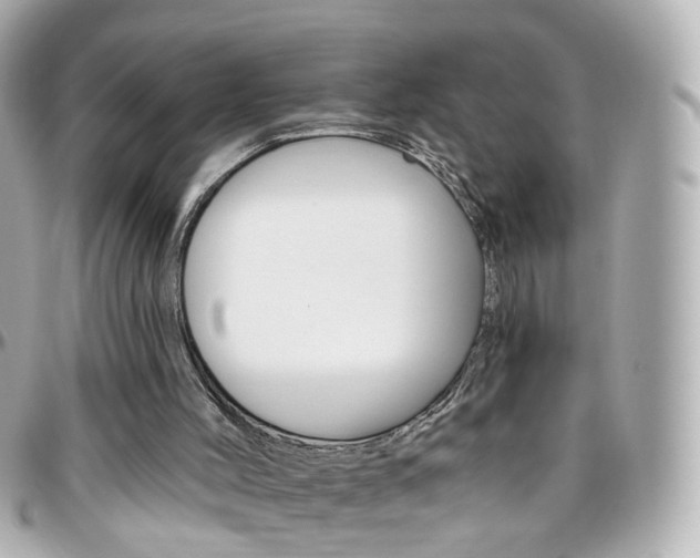 X0000096410004200801241035