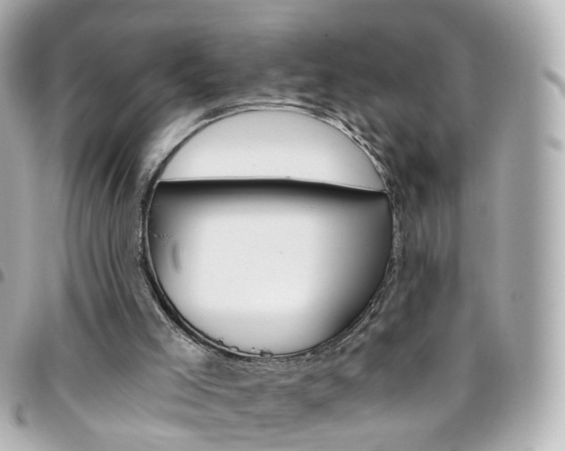 X0000096410005200801241035