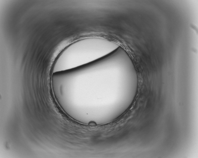 X0000096410006200801241035