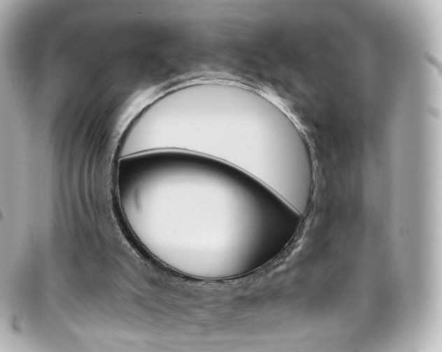 X0000096410007200801241035