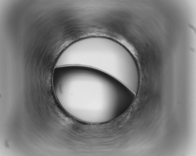 X0000096410009200801241035