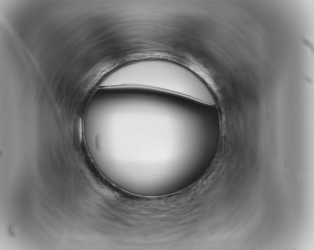 X0000096410013200801241035