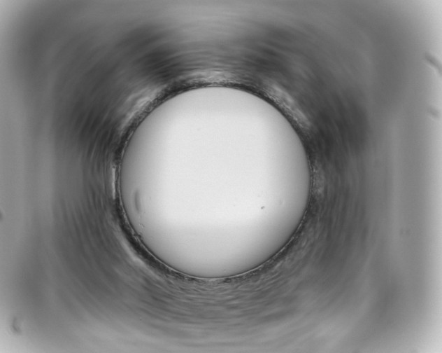 X0000096410014200801241035