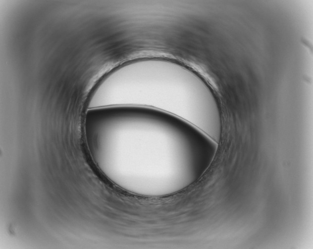 X0000096410015200801241035