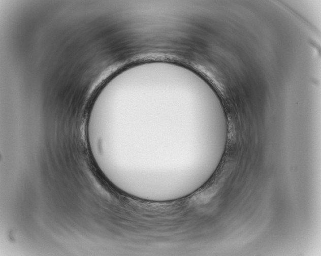 X0000096410016200801241035