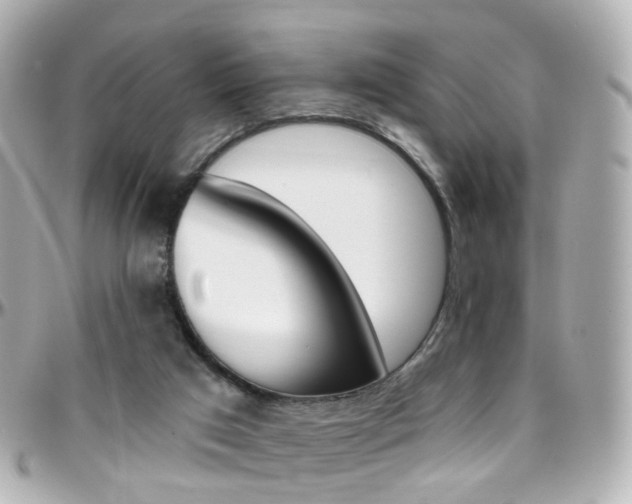 X0000096410017200801241035
