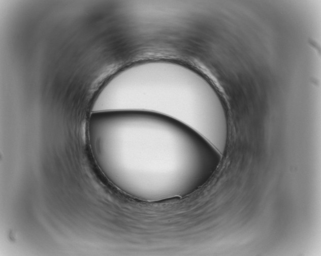 X0000096410019200801241035