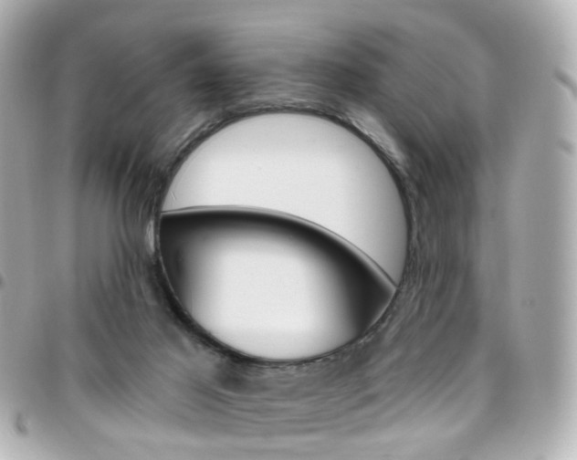 X0000096410021200801241035