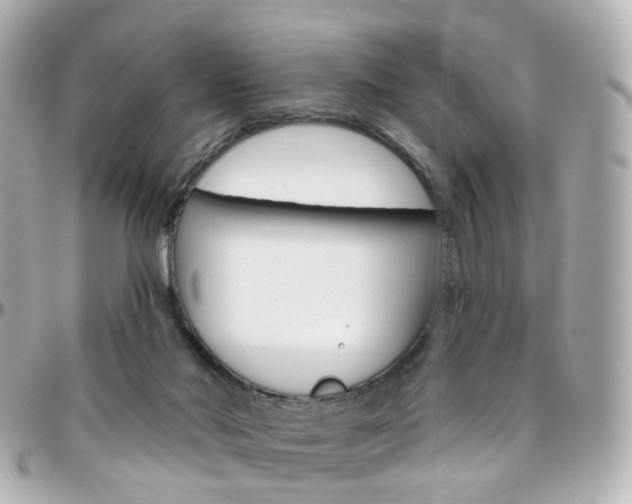 X0000096410022200801241035