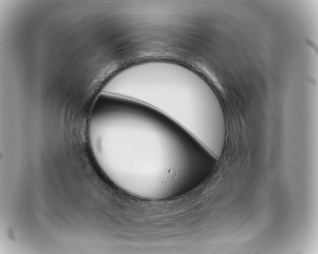 X0000096410023200801241035