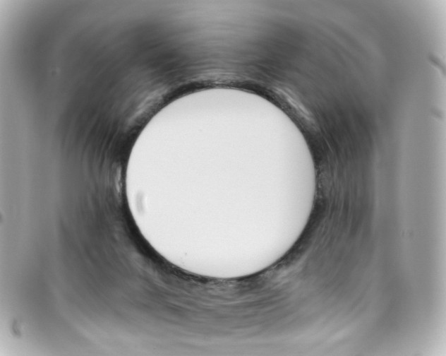 X0000096410024200801241035