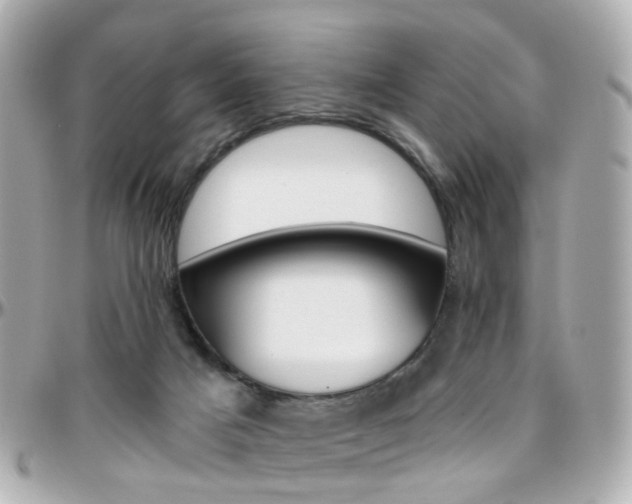 X0000096410025200801241035