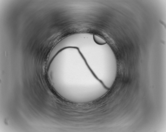 X0000096410026200801241035