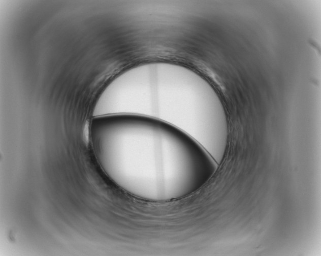 X0000096410027200801241035