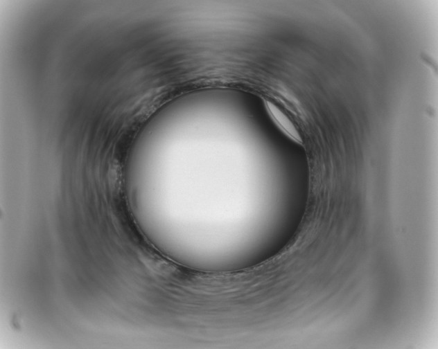 X0000096410029200801241035