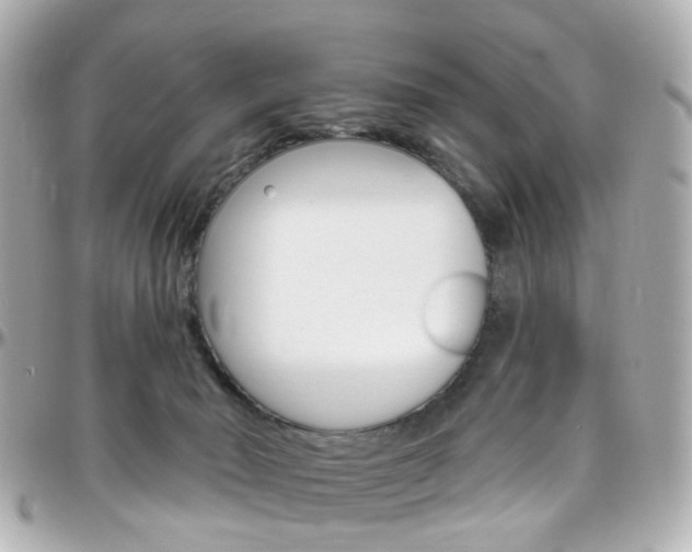 X0000096410030200801241035