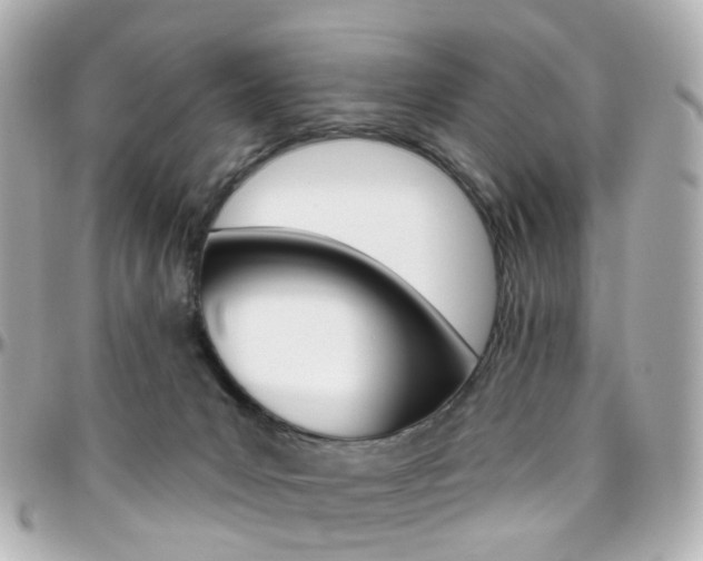 X0000096410031200801241035