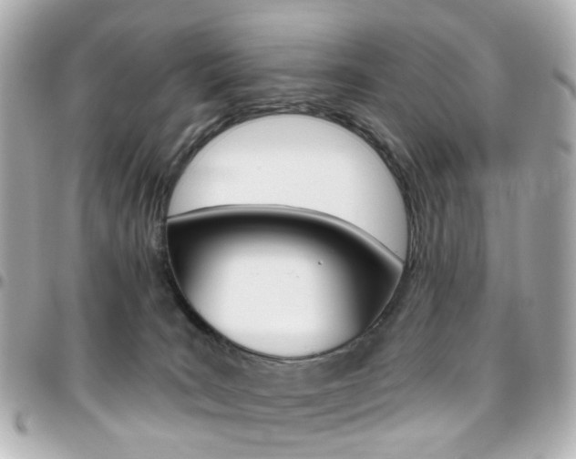 X0000096410035200801241035