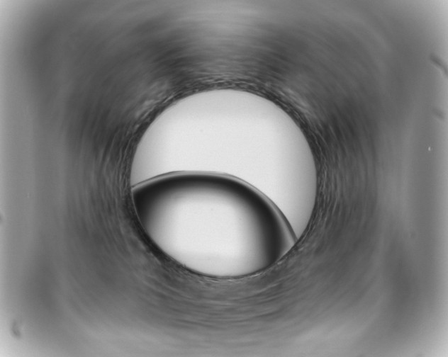 X0000096410039200801241035