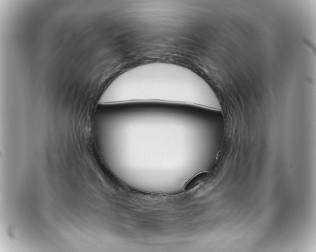 X0000096410040200801241035