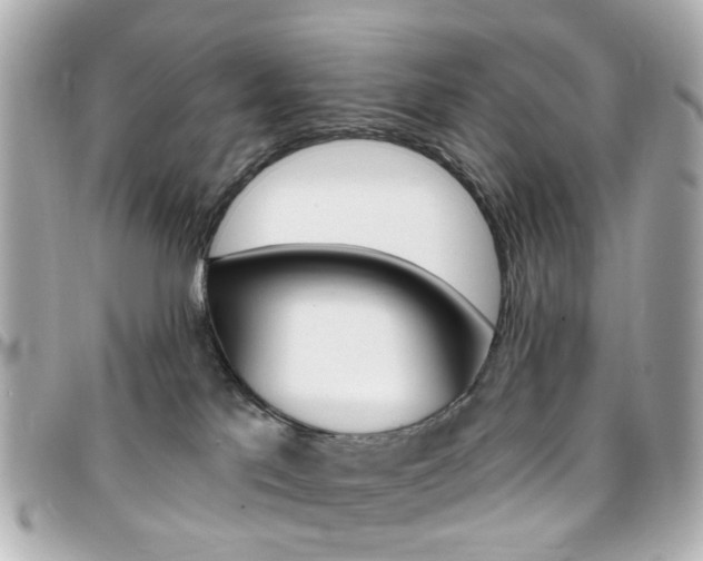 X0000096410041200801241035