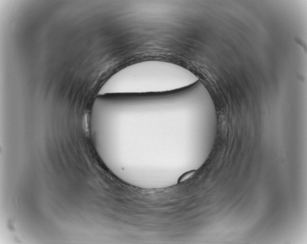 X0000096410042200801241035