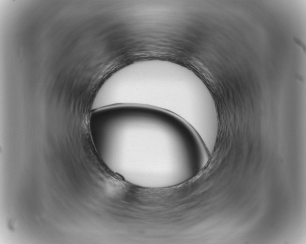 X0000096410045200801241035