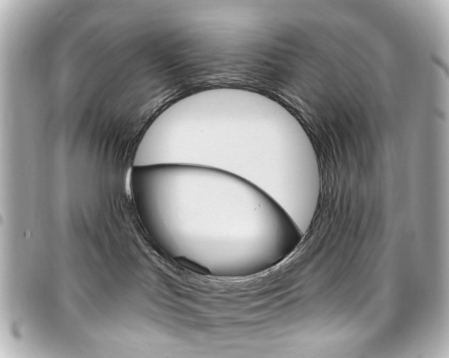 X0000096410047200801241035